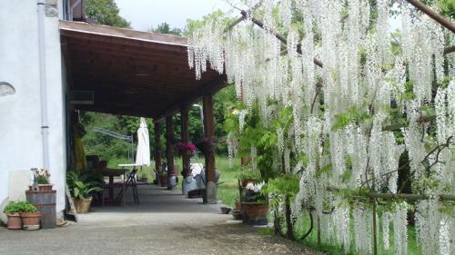 Agroturismo Agriturismo C� Rossano