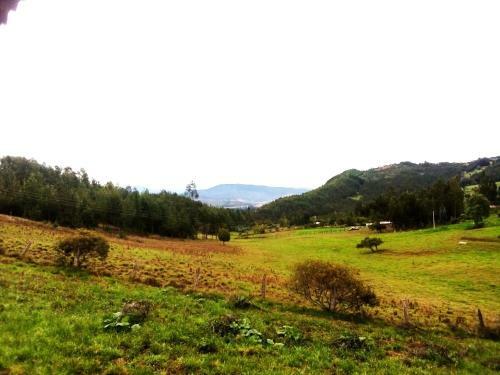 Casa Campo Sogamoso