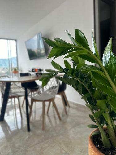Apartamento En Ibague Cerca A Centros Comerciales Excelente Vista