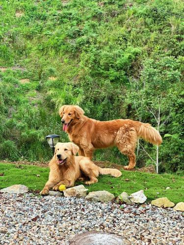 Bed & Breakfast Glampling Dos Quebradas