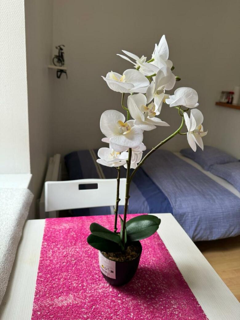 Apartamento Studio, Hyper Centre La Rochelle