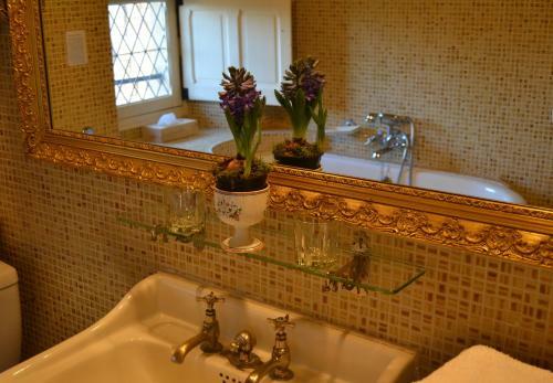 Bed & Breakfast Ch�teau De Peufeilhoux