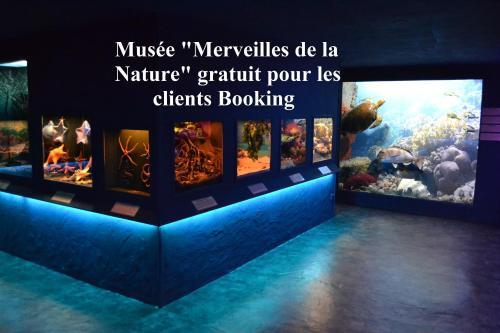 Bed & Breakfast Ch�teau De Peufeilhoux
