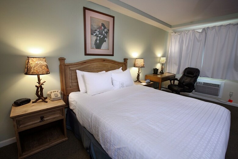 Motel Salida Inn & Monarch Suites
