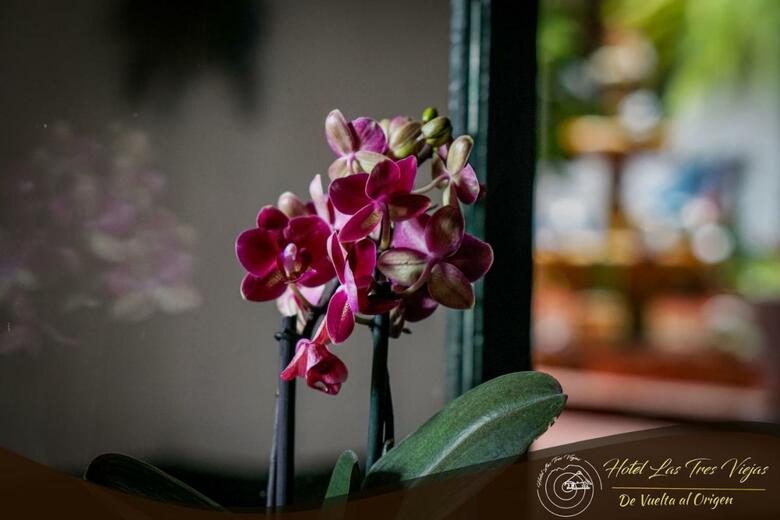 Hotel Las Tres Viejas