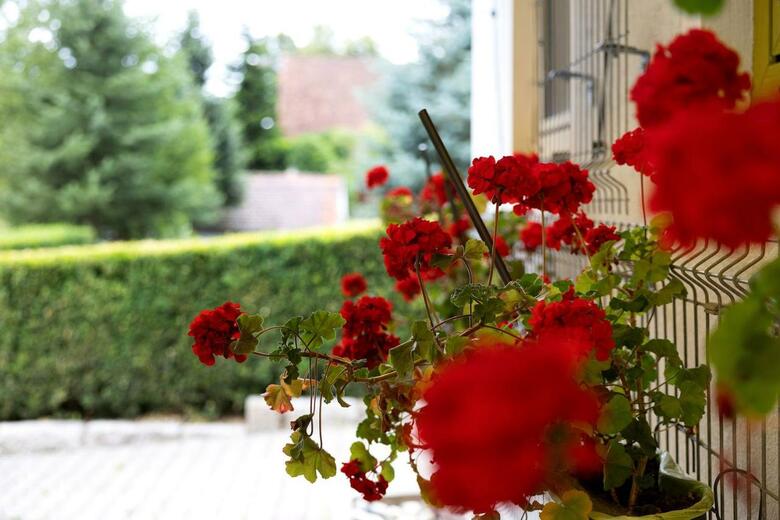 Hostal Hotel Neue Krone - Markt Erlbach
