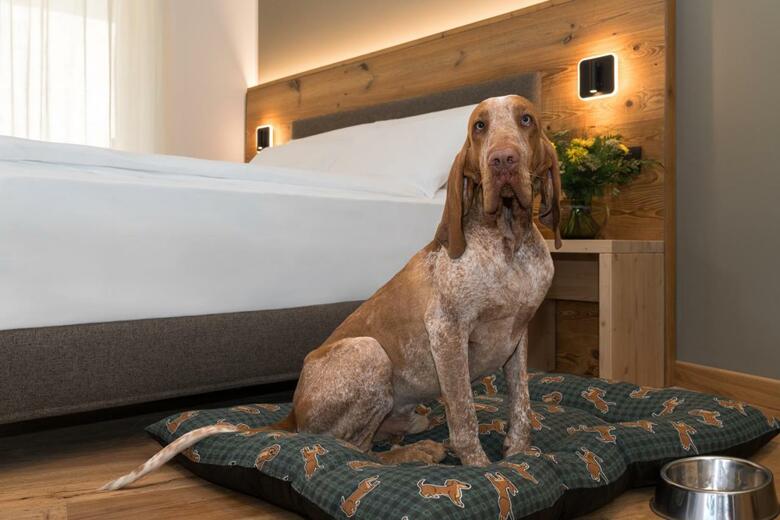 Green Hotel Genzianella