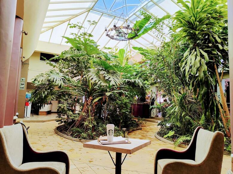 Hotel Jardines Del Centro