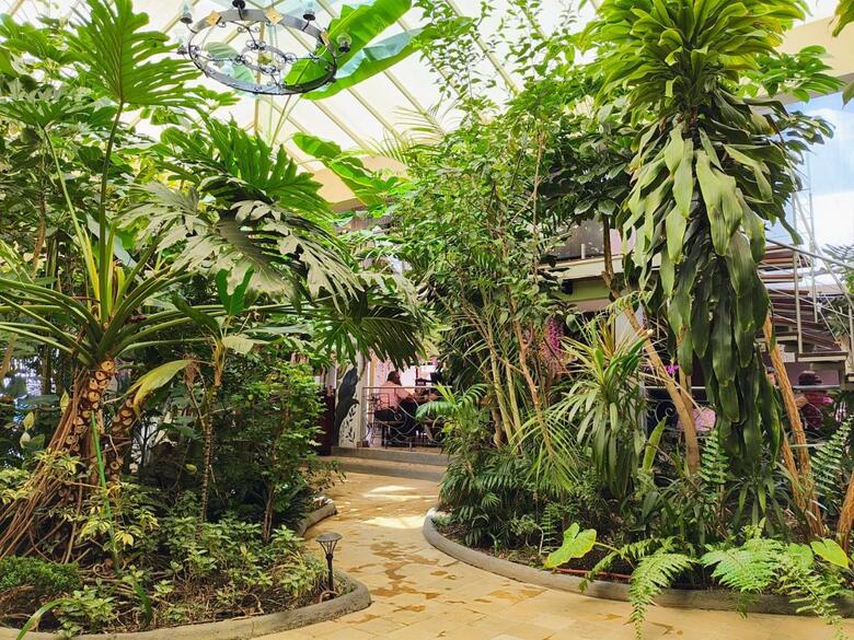 Hotel Jardines Del Centro