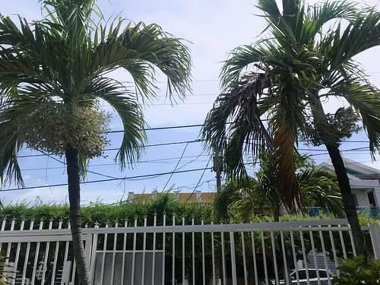 Hotel Tropical Dreams