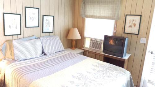 Sun N Fun Beachfront Vacation Rentals