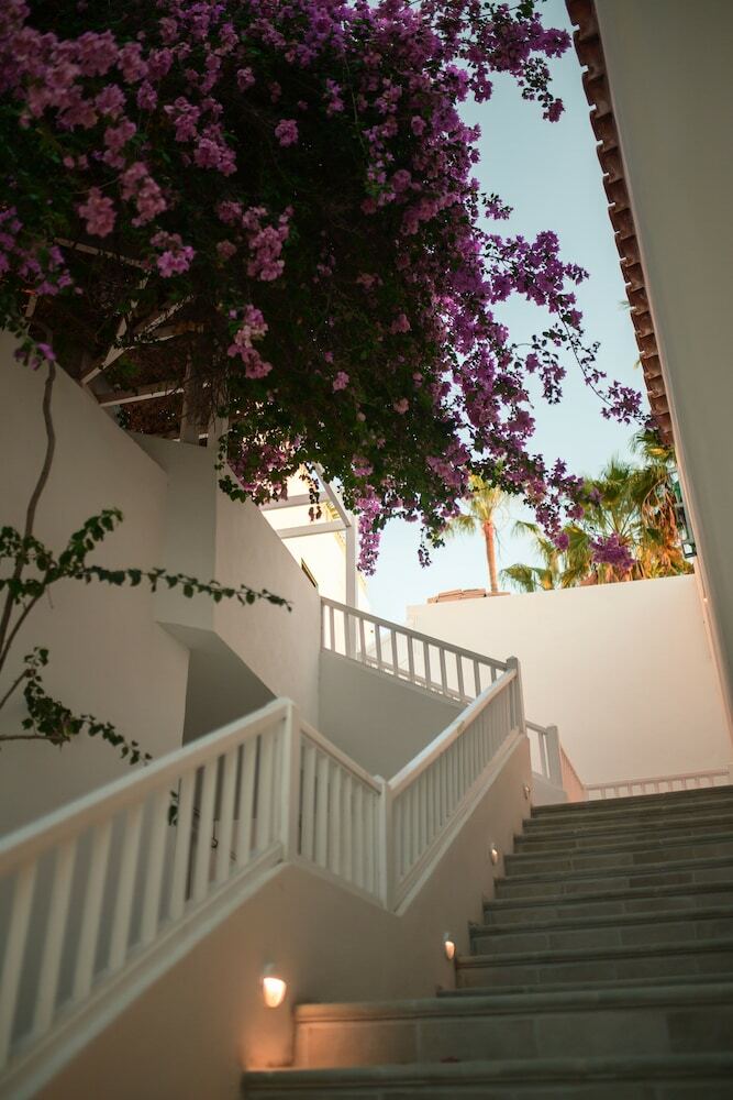 Hotel Estefan�a Boutique Suites