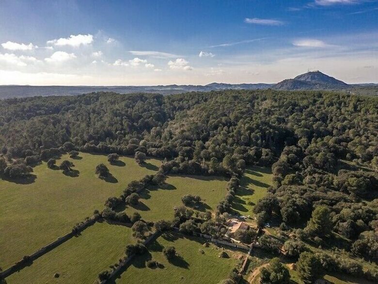 Aparthotel Hotel Alcotx Country Club