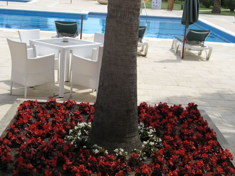 Aparthotel Hotel Clipper & Villas