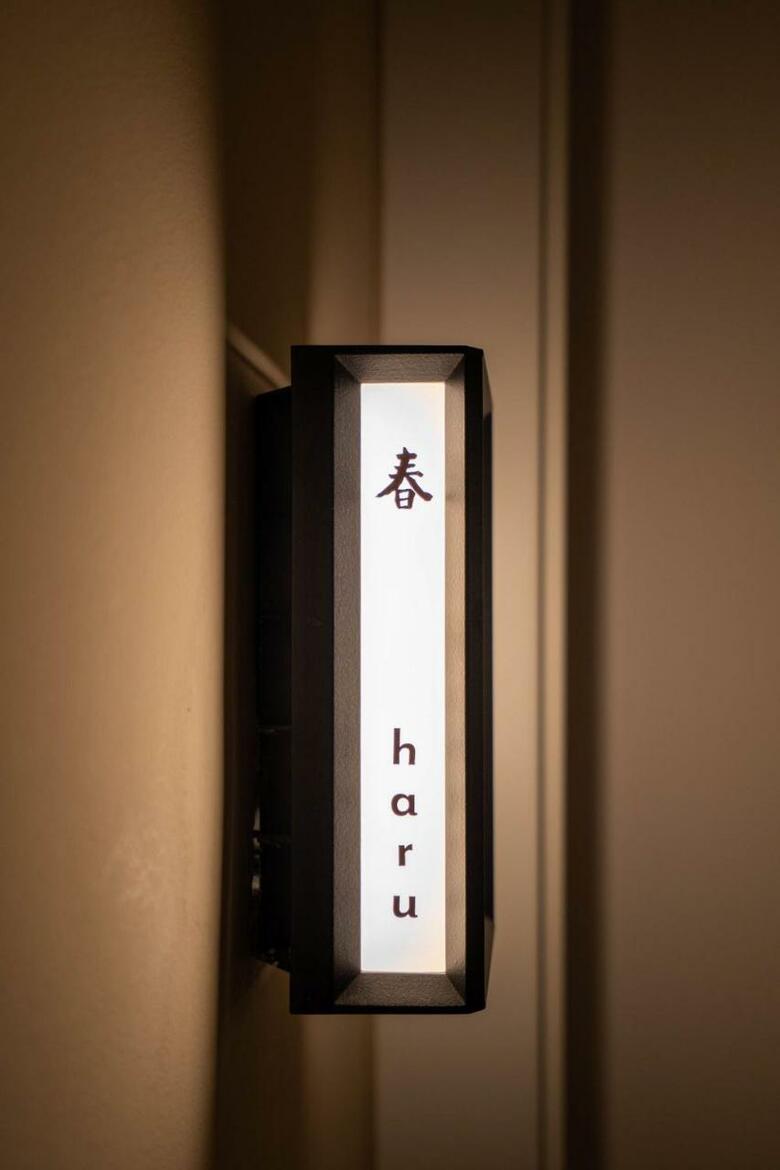 Hotel Japon�s Puigpin�s