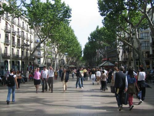Apartamentos Plaza Universitat