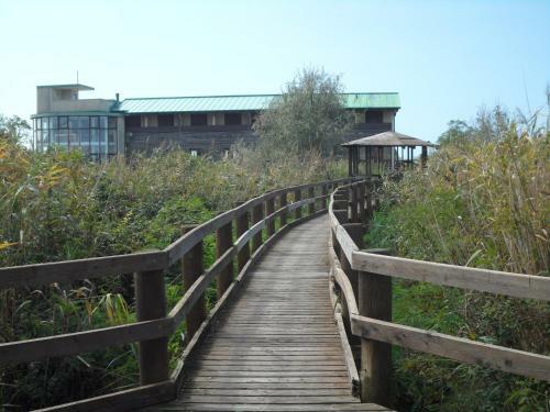 Hotel Caneo