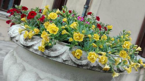 Hotel Villa Scalabrini