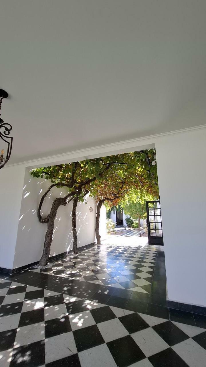 Hotel Viamonte Winery Lodge