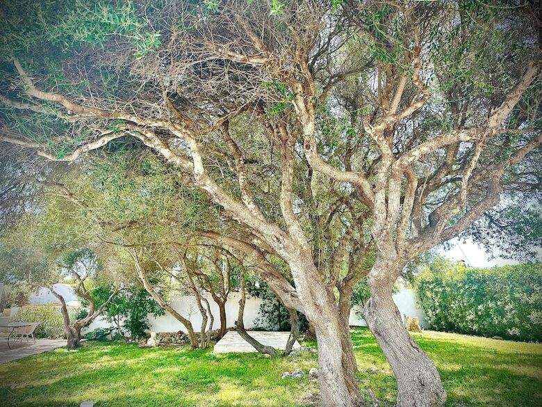 Bed & Breakfast Starbal Villa