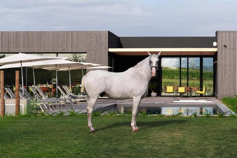 Hotel Lusitano Garden Villas