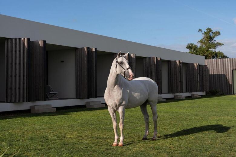 Hotel Lusitano Garden Villas