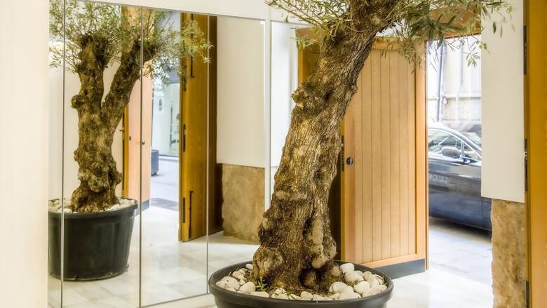 Apartamentos Catalina Suites Downtown Valencia