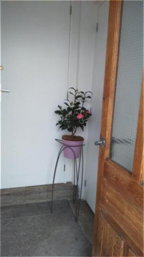 Apartamento Bellogia