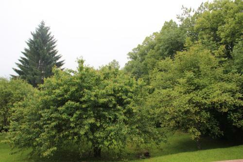 Holiday Home Maison De La Liti�re