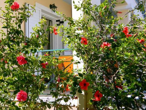 Apartamento Irene Studios Kefalonia