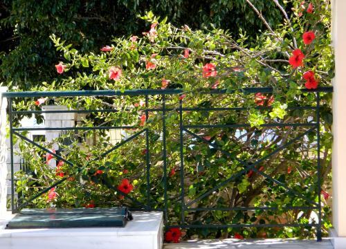 Apartamento Irene Studios Kefalonia