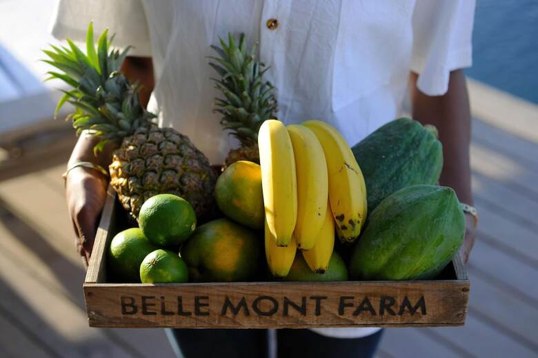 Belle Mont Sanctuary Resort