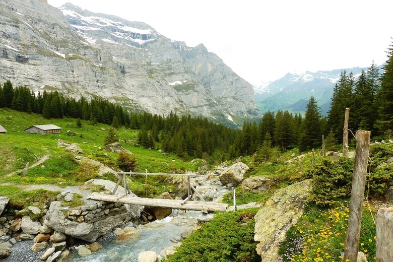 Alpenkr�uter Hotel B�ren