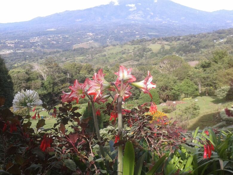Caba�as El Parador
