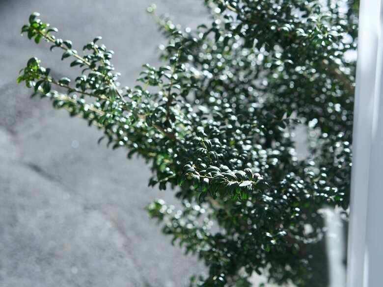 Hotel Tabist Ginza
