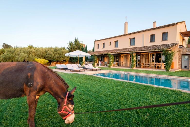 Bed & Breakfast Can Casi House