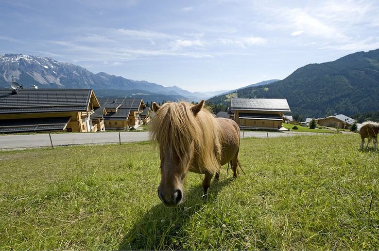 Hotel Almdorf Reiteralm