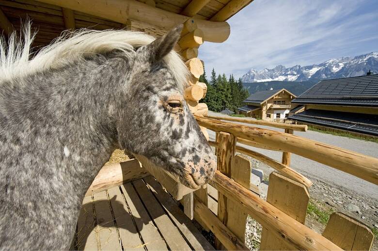 Hotel Almdorf Reiteralm