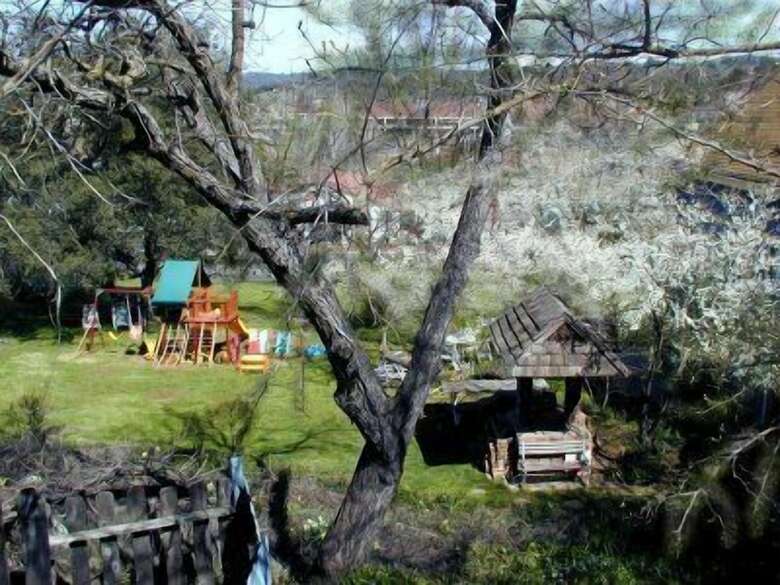 Robins Nest Bed & Breakfast