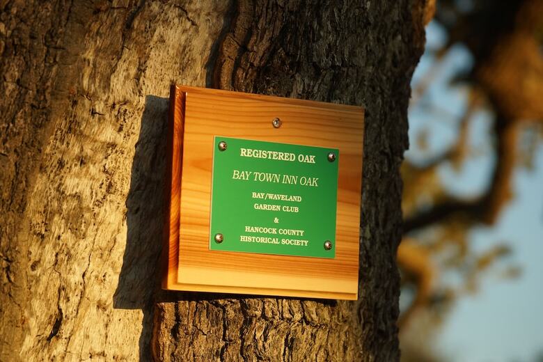 Hotel Bay Town Inn