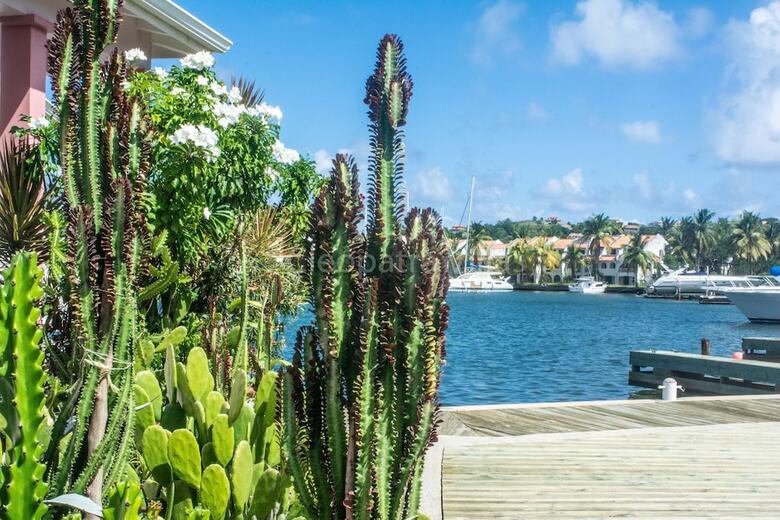Villa The Harbour