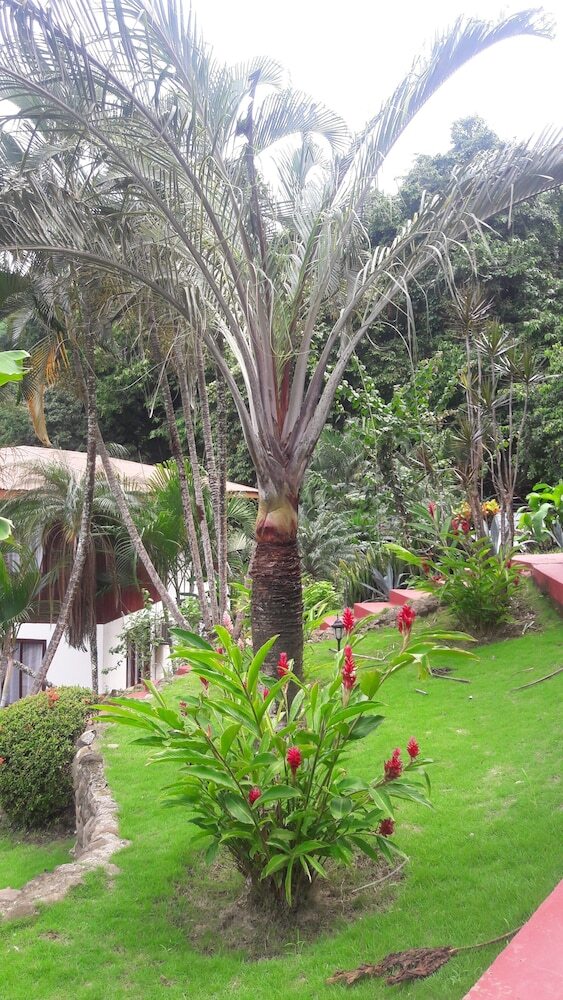 Hotel El Jard�n