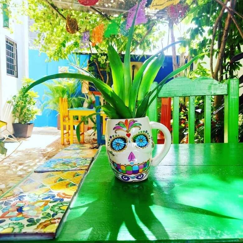 Vainilla B&B Mexico