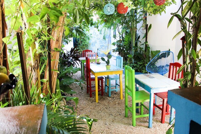 Vainilla B&B Mexico