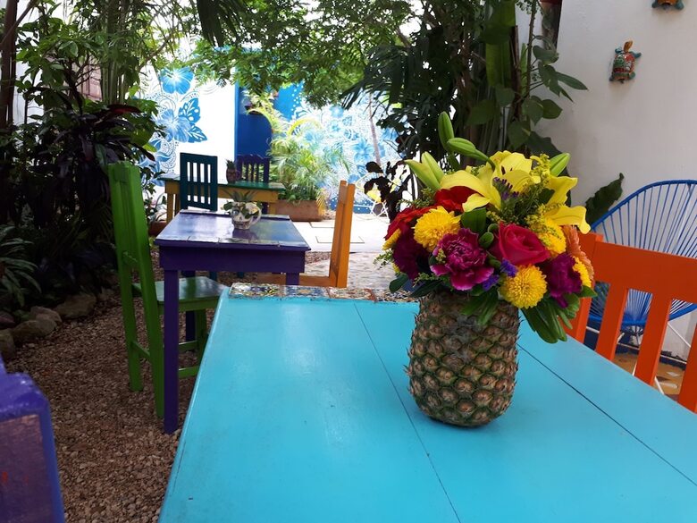 Vainilla B&B Mexico