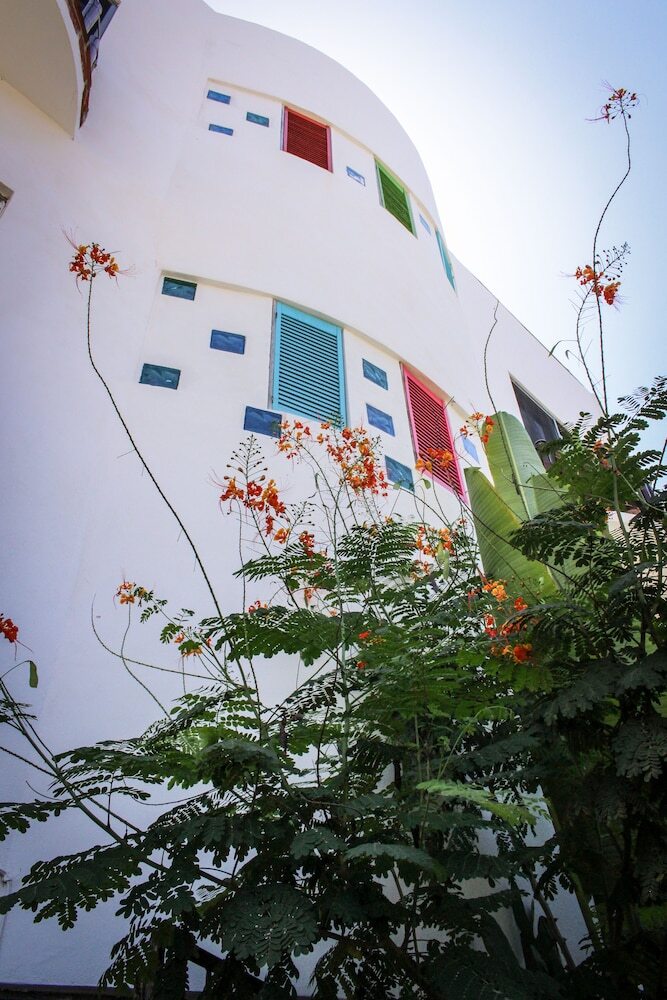 Vainilla B&B Mexico