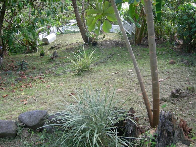 Casa Del Vega