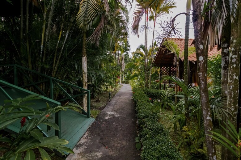 Arenal Green