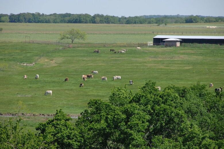 Beaumont Ranch
