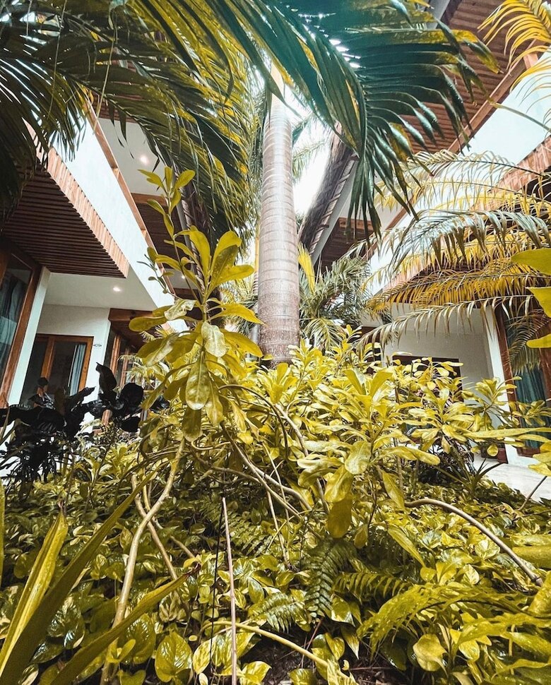 Hotel Casa Lumini Holbox
